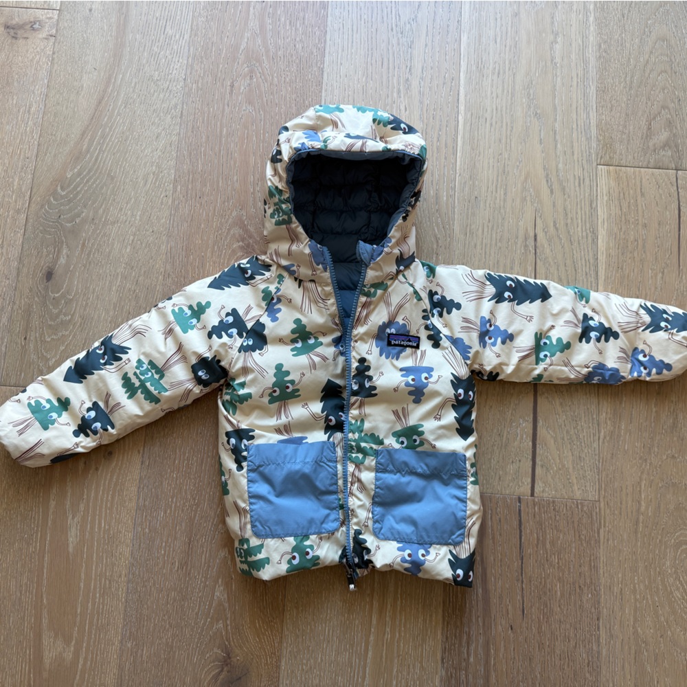 Patagonia Reversible Down Sweater Hoody - Picture 4 of 4